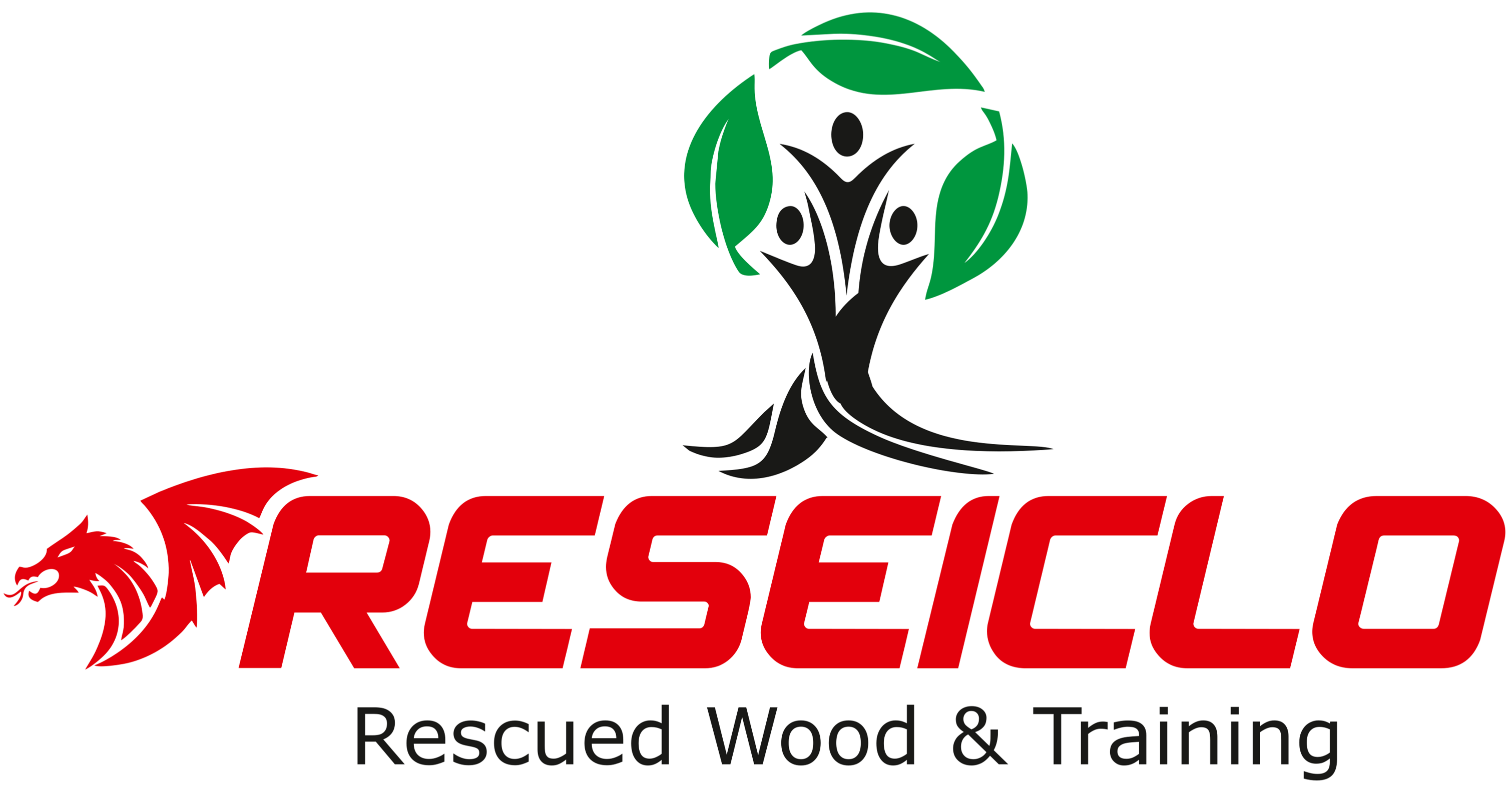 reseiclo training logo
